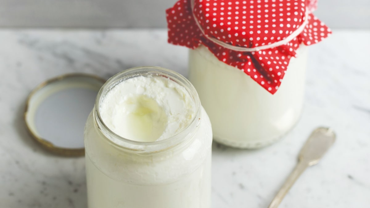Domácí plnotučný bílý jogurt 2