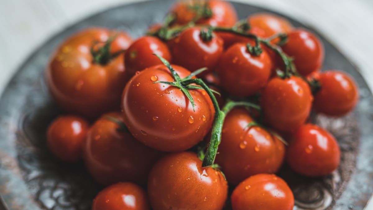 Šťavnatá a voňavá rajčata: Čechy milovaná zelenina 4