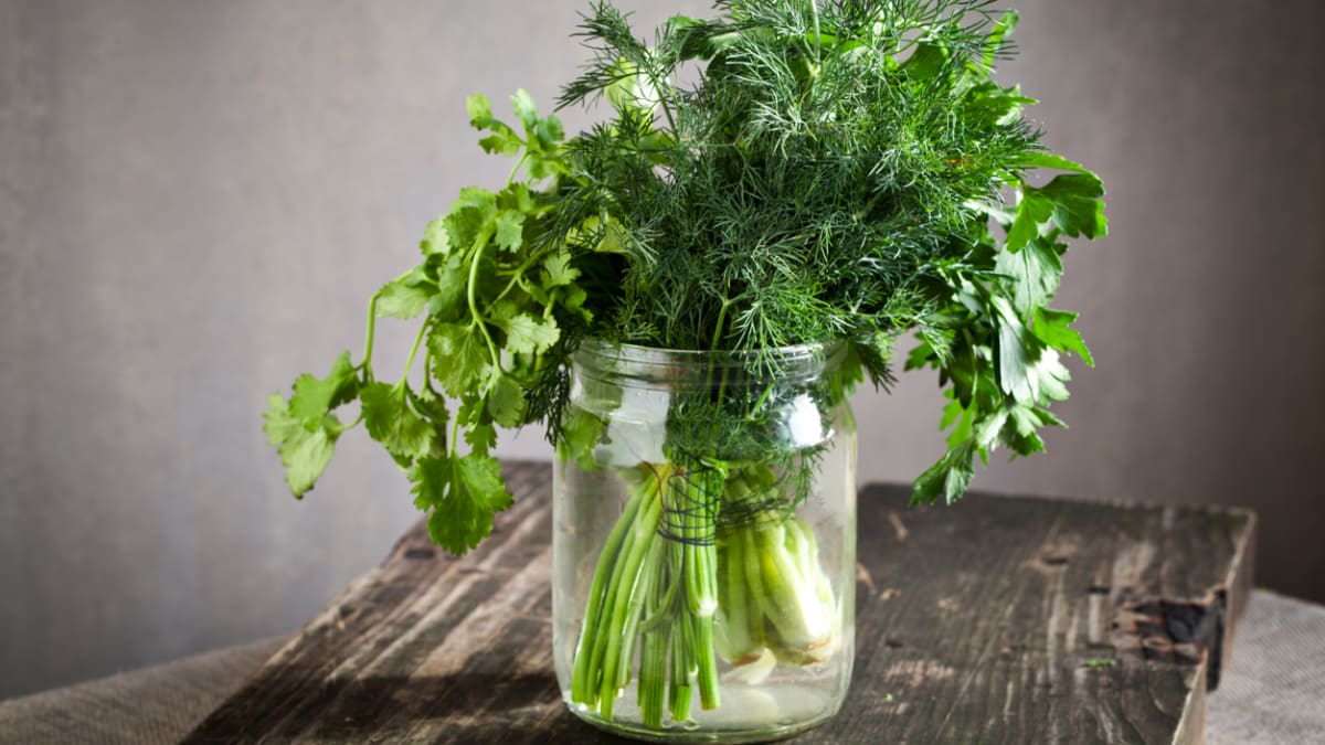 6 důmyslných způsobů, jak uchovat bylinky 6