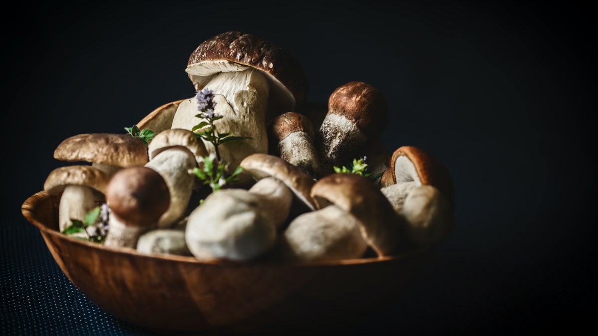 Jak snadno a co nejlépe zpracovat houby? 2