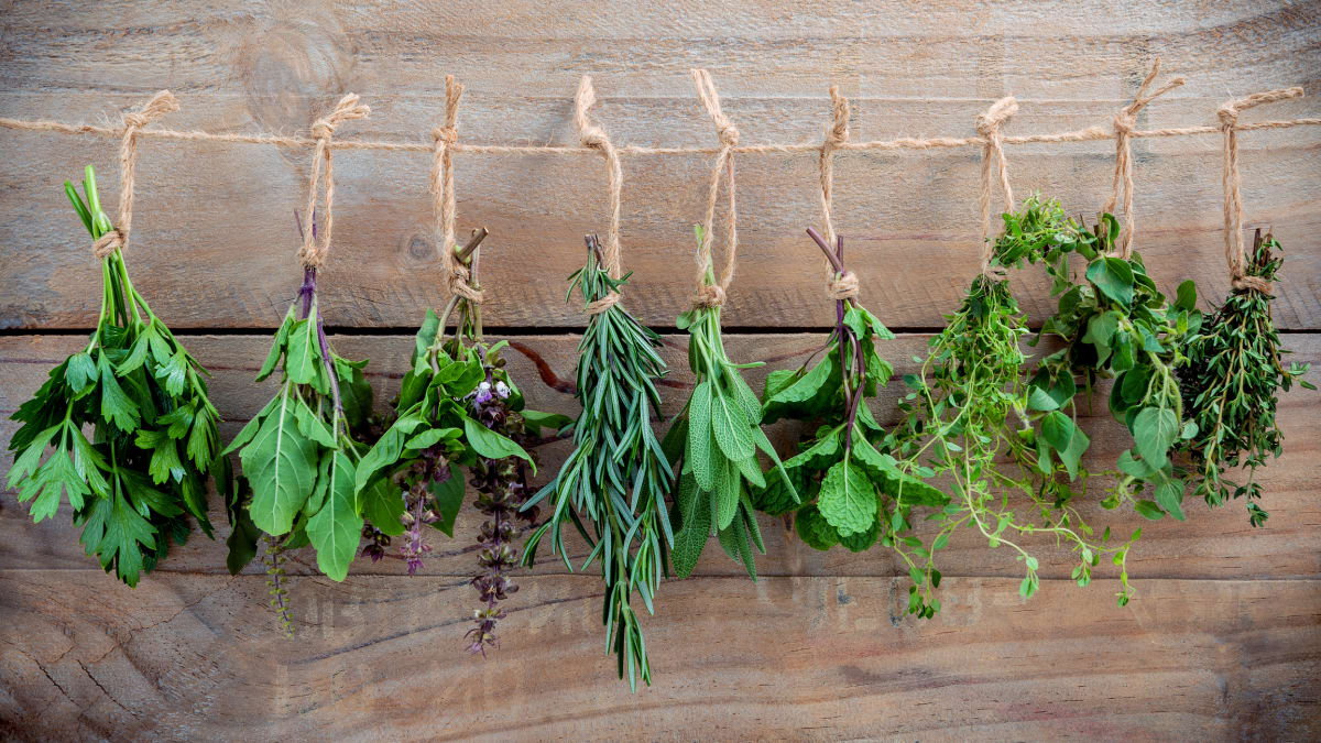 6 důmyslných způsobů, jak uchovat bylinky