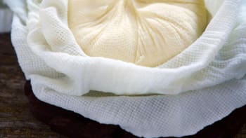 Domácí sýr panýr – Paneer