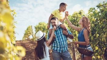 Vychutnejte si prázdniny na Moravě a využijte vinařské stezky a cyklostezky