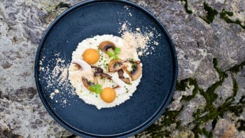 Tarhoňa s brynzou, houbami a špekem podle restaurace Savoya