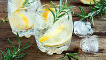 Gin s tonikem – základní recept na populární koktejl
