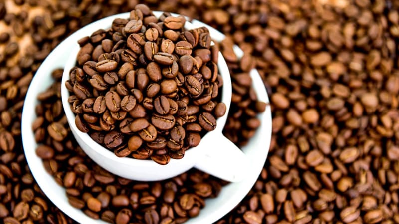 Víte, jaká je cesta kávového zrnka z plantáže až na váš stůl?