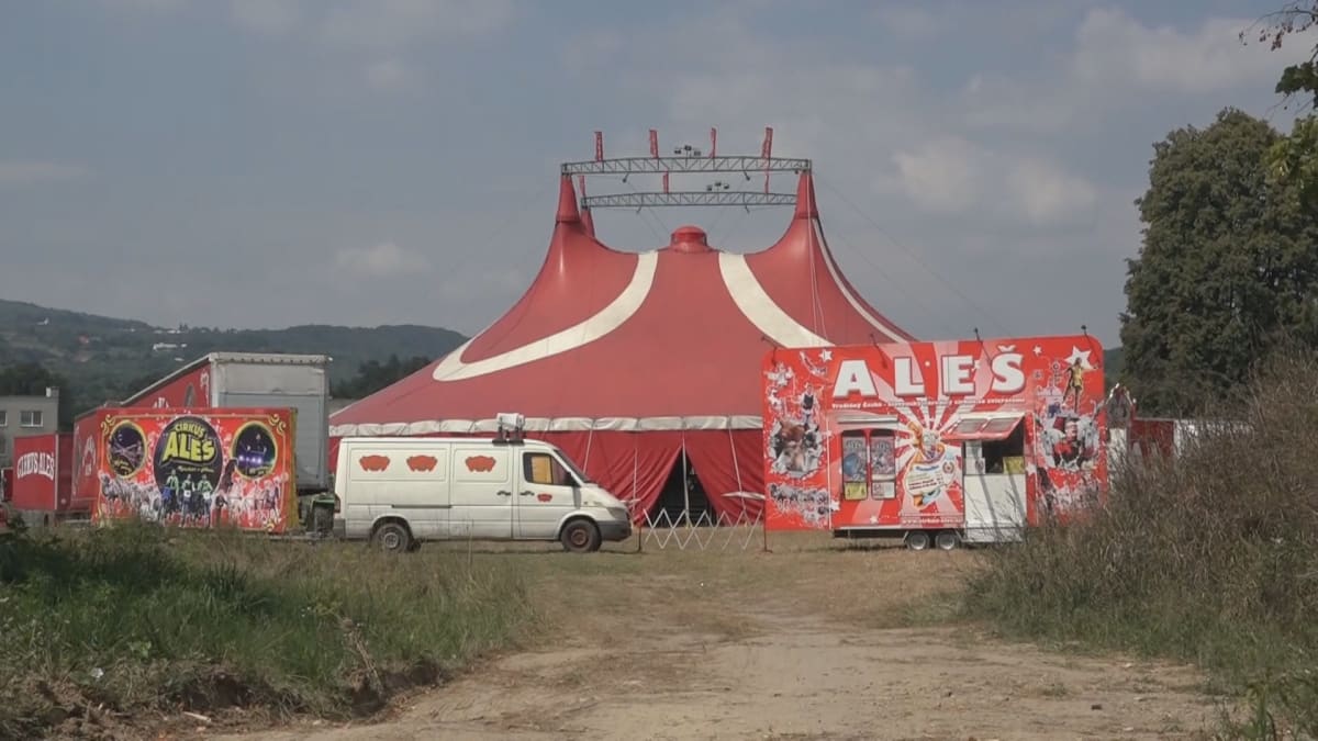 Zaměstnance cirkusu Aleš nejspíše nezabil velbloud, ale nepozorná kolegyně. 
