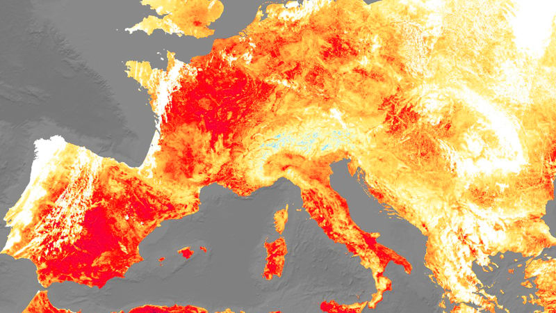 Svět sužují vedra (ilustrační foto)
