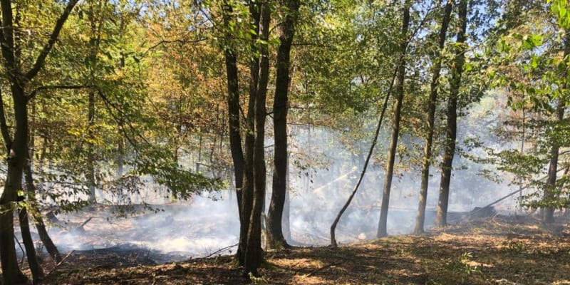 Požár u pily Vrchoslav v Krupce