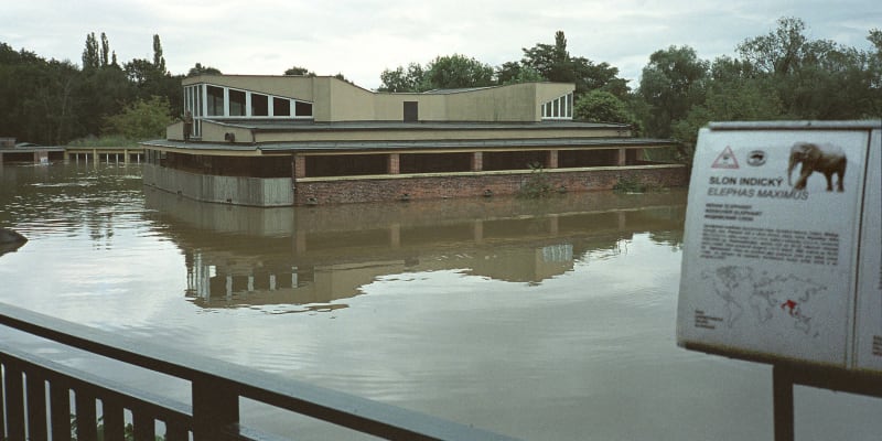 Povodeň z roku 2002 zasáhla pražskou zoo silně