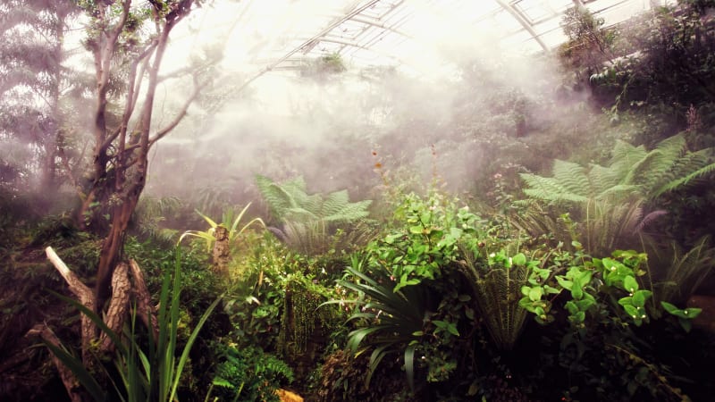 Tropický skleník Fata Morgana nabízí pestrou paletu rostlin. Ačkoliv hlavní část skleníku evokuje podmínky tropické deštné džungle, při současných vysokých teplotách a suchu se zde návštěvníci mohou příjemně osvěžit. Teplota v této části nepřesahuje třicet stupňů Celsia, při tropických venkovních teplotách je vždy o něco nižší a zvýšená vlhkost vzduchu celkově navozuje příjemnější pocity. 