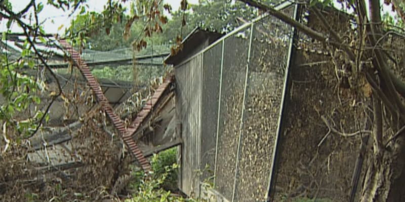 Následky povodní v pražské zoologické zahradě v roce 2002.