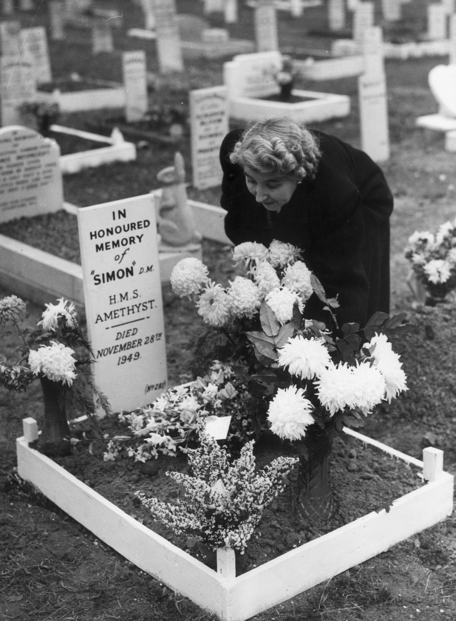 1. prosince 1949: Paní G. D. Macrowová, která měla na starosti pohřby zvířat, které obrdželi medaily M. D., klade květiny na hrob Simona, který sloužil na HMS Amethyst. Byl pohřben v Santiorium, Woodford.