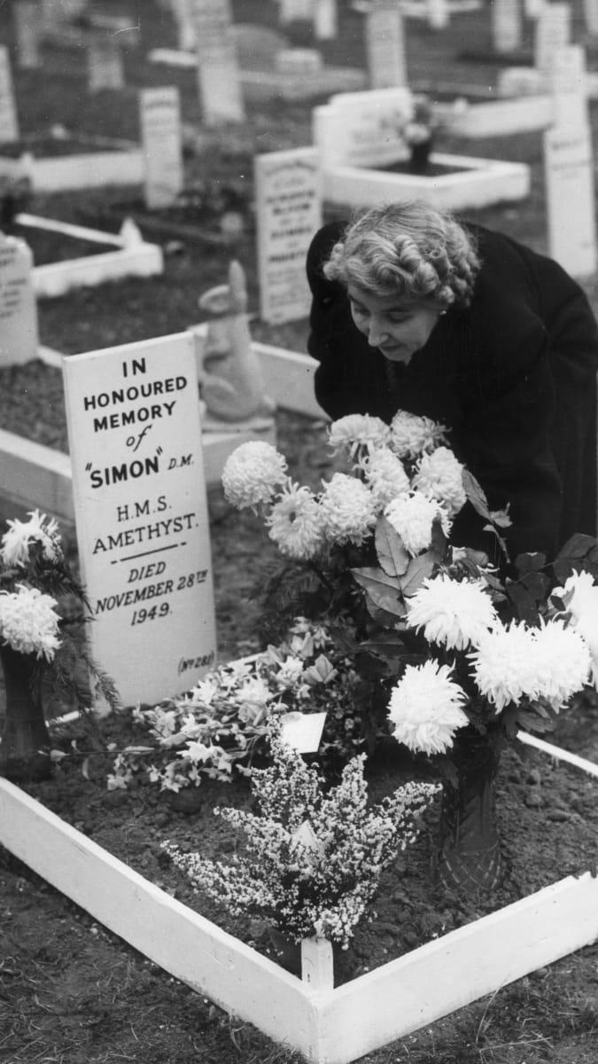 1. prosince 1949: Paní G. D. Macrowová, která měla na starosti pohřby zvířat, které obrdželi medaily M. D., klade květiny na hrob Simona, který sloužil na HMS Amethyst. Byl pohřben v Santiorium, Woodford.