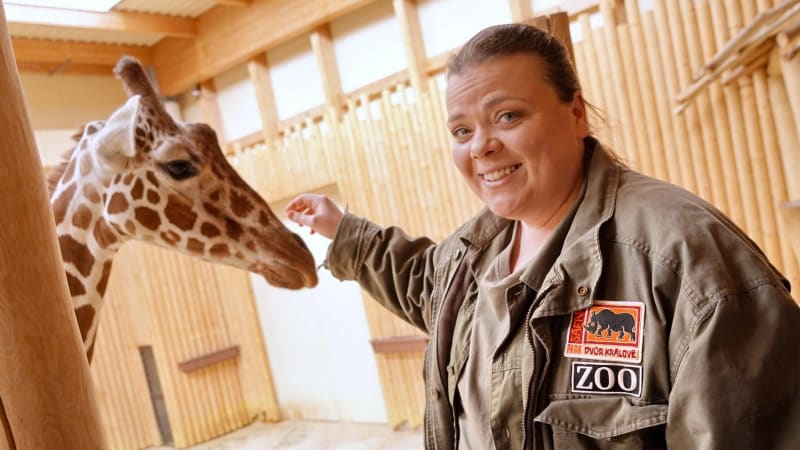 Herečka Lucie Polišenská hraje v seriálu ZOO ošetřovatelku žiraf Elišku. 