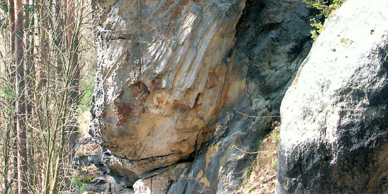 Varhany - skalní pilíř složený z pískovcových sloupečků v Kunratickém Švýcarsku