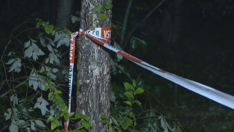 V Liberci zemřel muž, na kterého spadl při bouřce strom