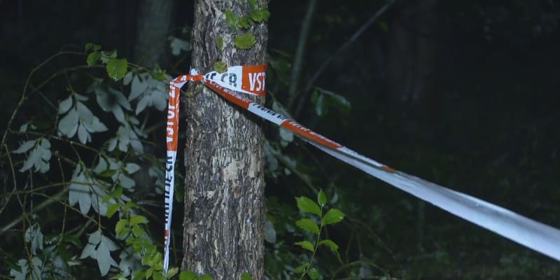 V Liberci zemřel muž, na kterého spadl při bouřce strom