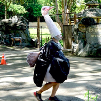 Pečovatel v thajské zoo se převlékl za pštrosa