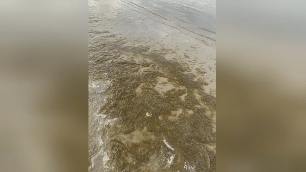 Britské pláže zaplavily splašky z kanalizace.