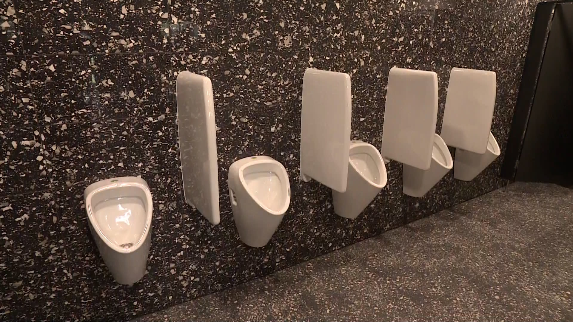 Společné toalety pro muže a ženy prosazují i někteří zastupitelé na pražském magistrátu (ilustrační foto). 