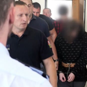 Mladíci se přiznali k vraždě 13letého chlapce v Děčíně.