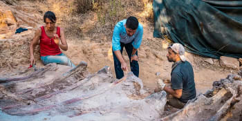 Na zahradě našli gigantické kosti. Patří zřejmě největšímu dinosaurovi v Evropě