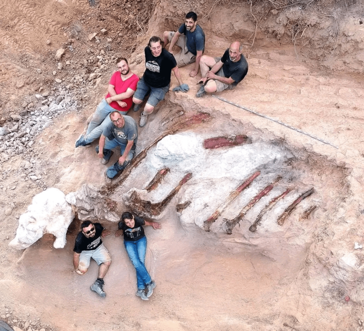 Archeologové u žeber nalezené kostry dinosaura