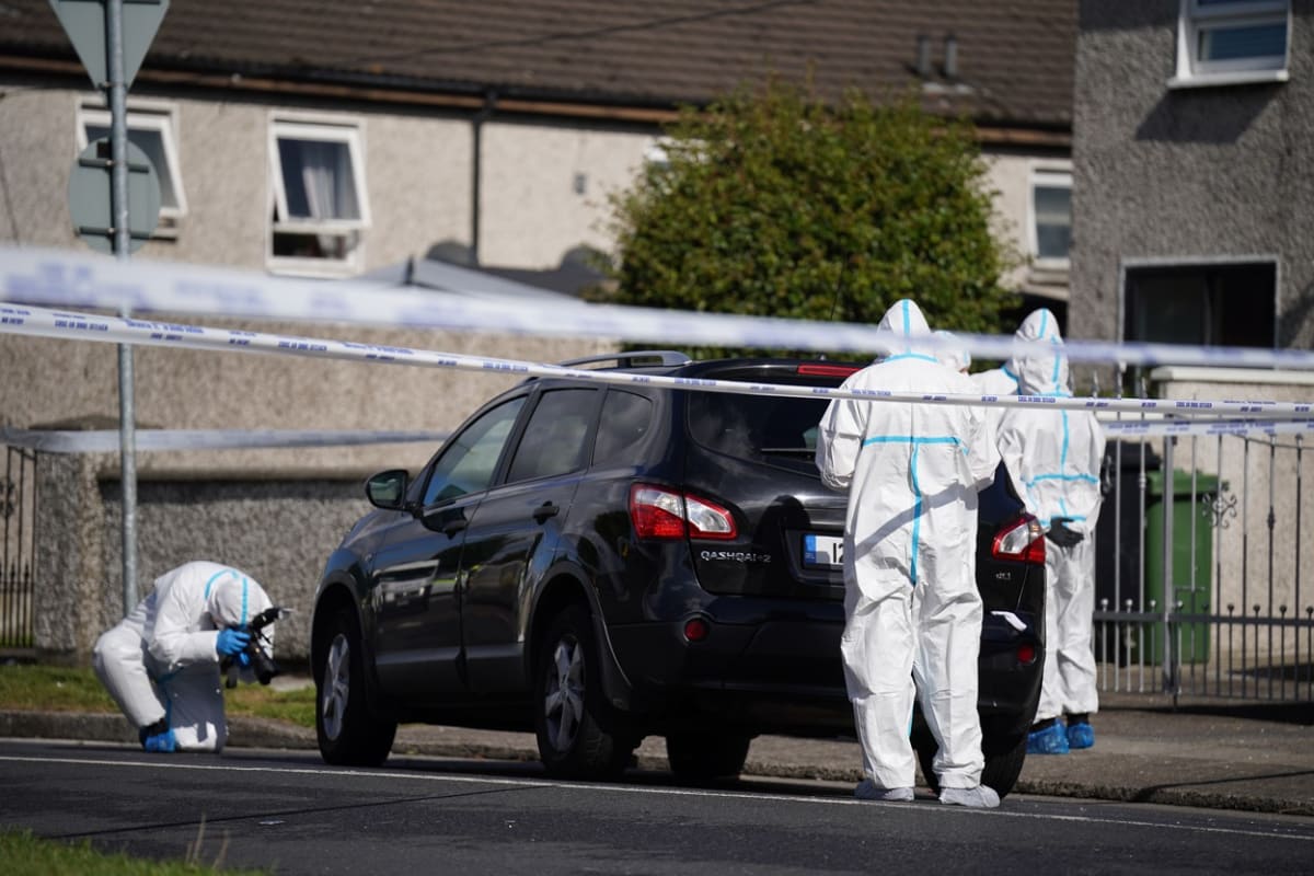 Brutální vraždu tří dětí vyšetřují policisté v Irsku.