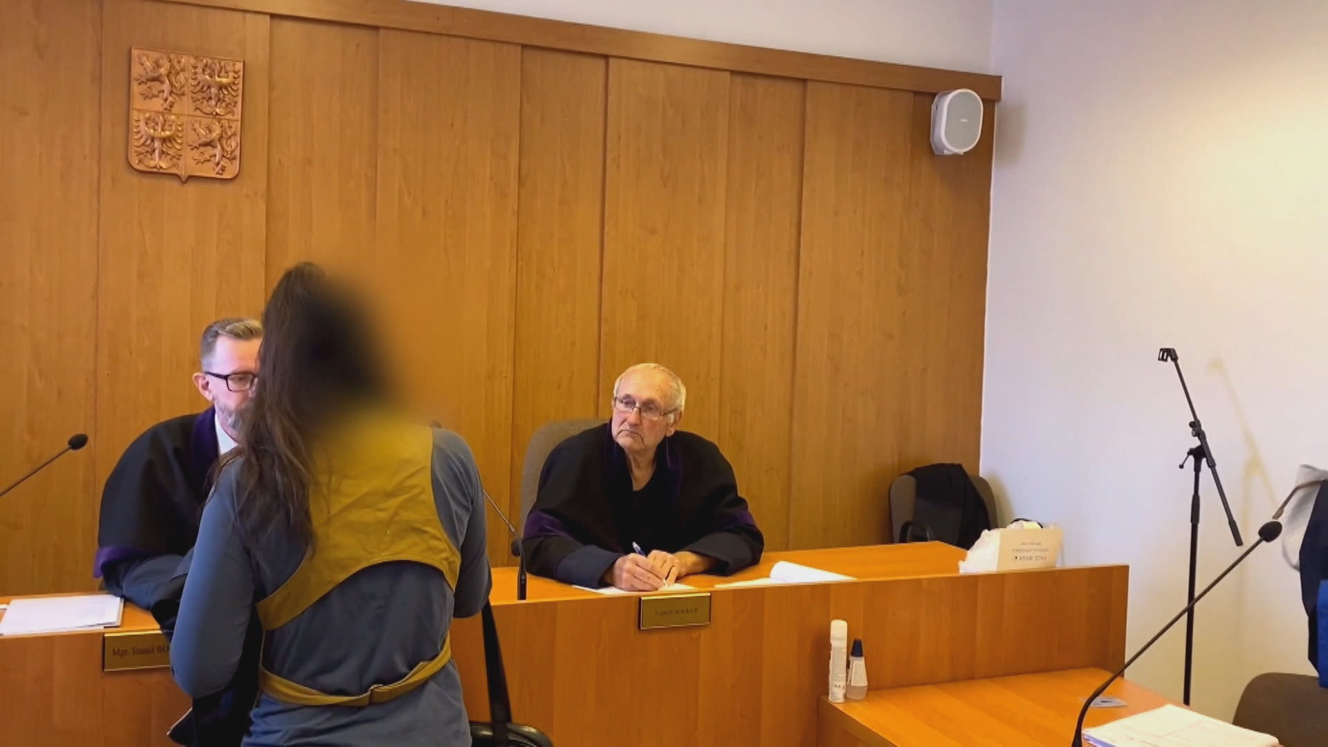 Plzeňský krajský soud začal projednávat případ těžkého ublížení na zdraví.