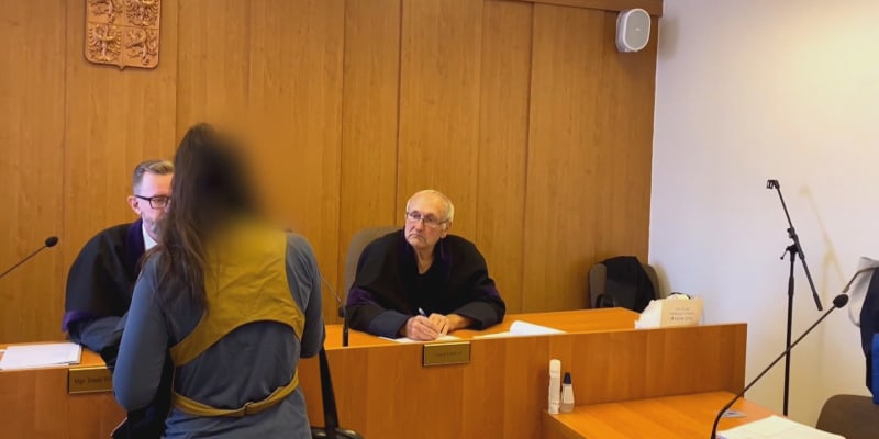 Plzeňský krajský soud začal projednávat případ těžkého ublížení na zdraví.