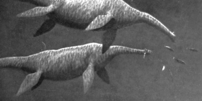 Podivné monstrum straší v jezeře Loch Ness od 6. století