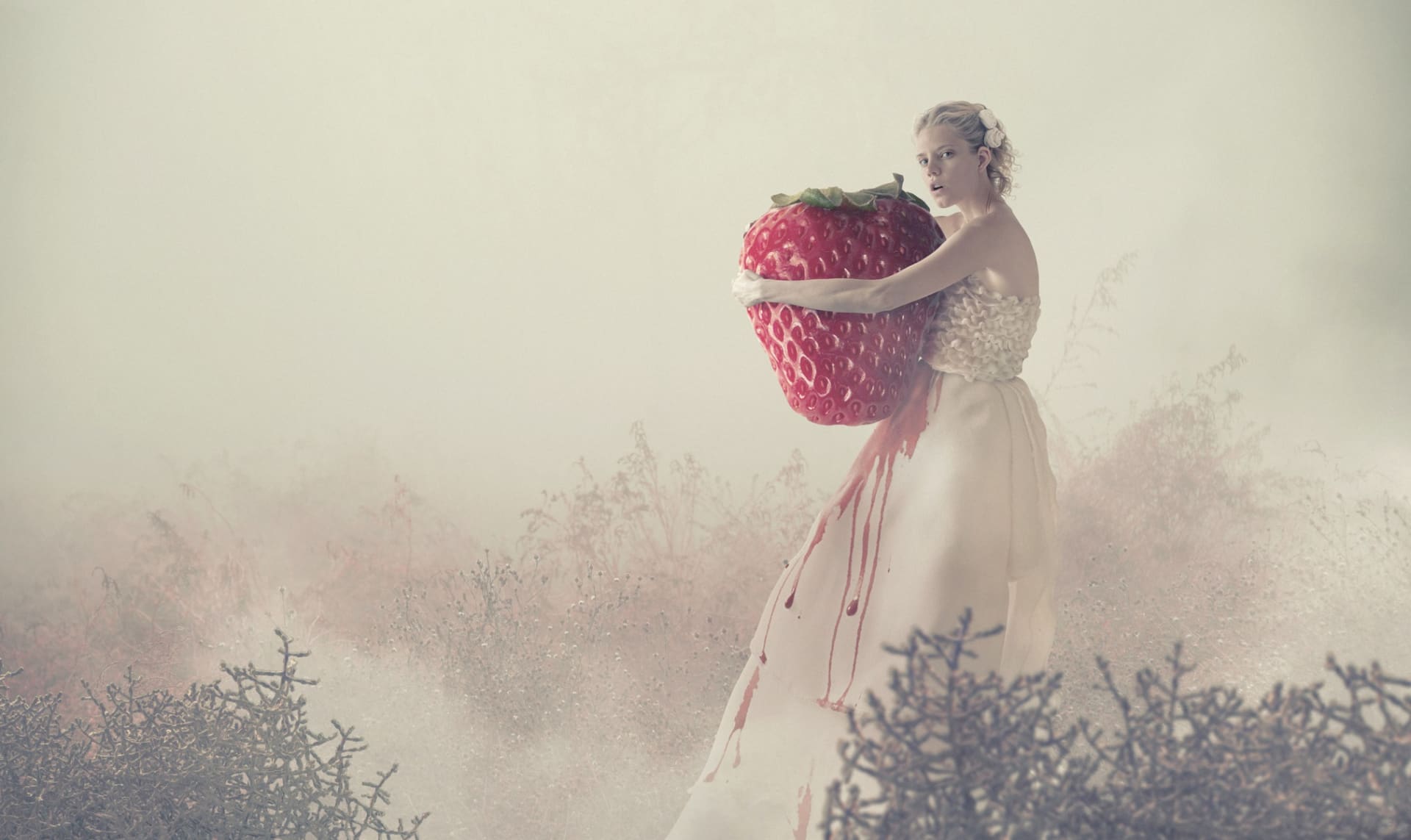 Velký snář: Co znamená vidět ve snu červené jahody?