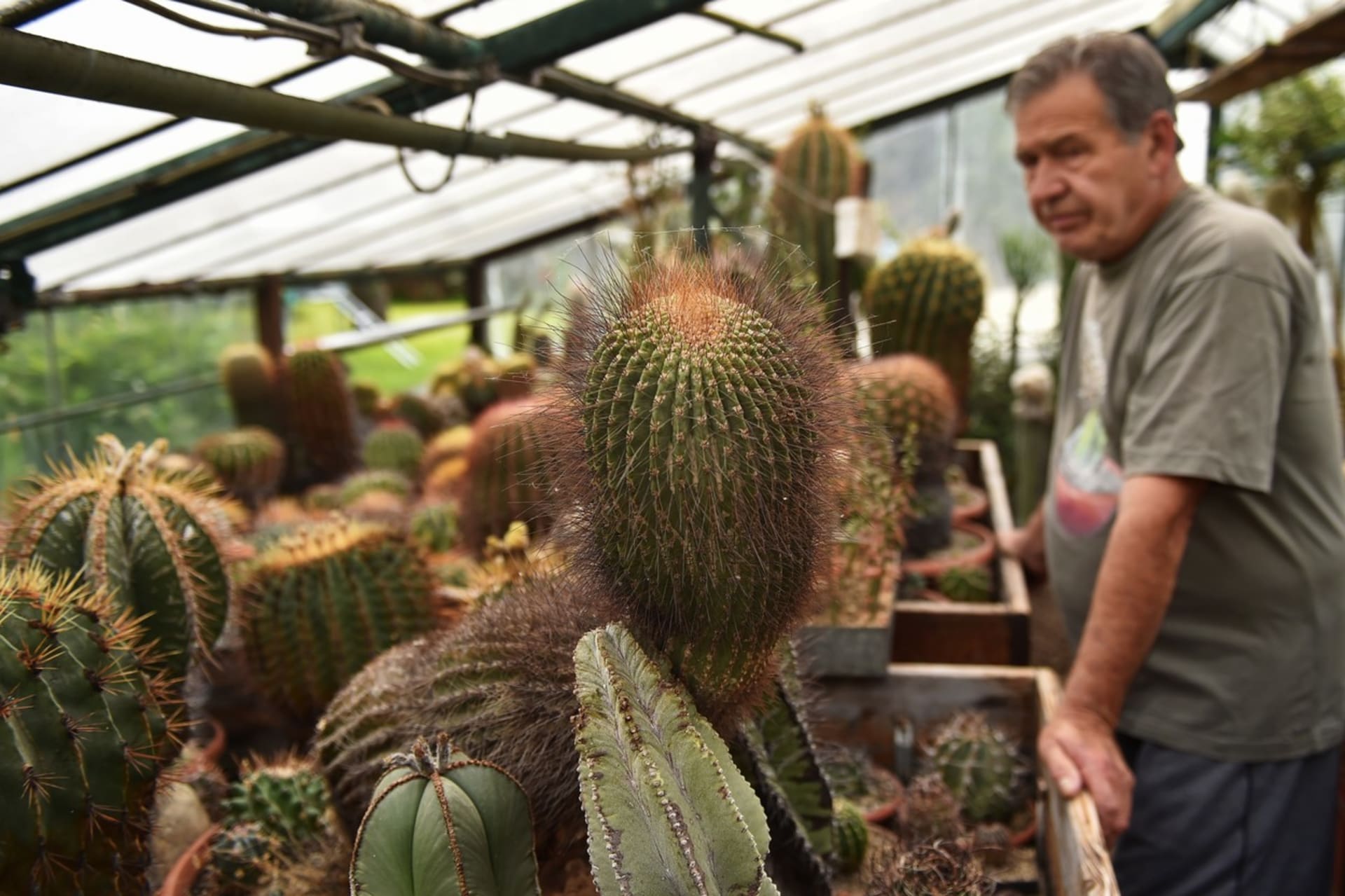 Pěstitel Petr Říha vlastní kaktus po Vojtěchu Fričovi