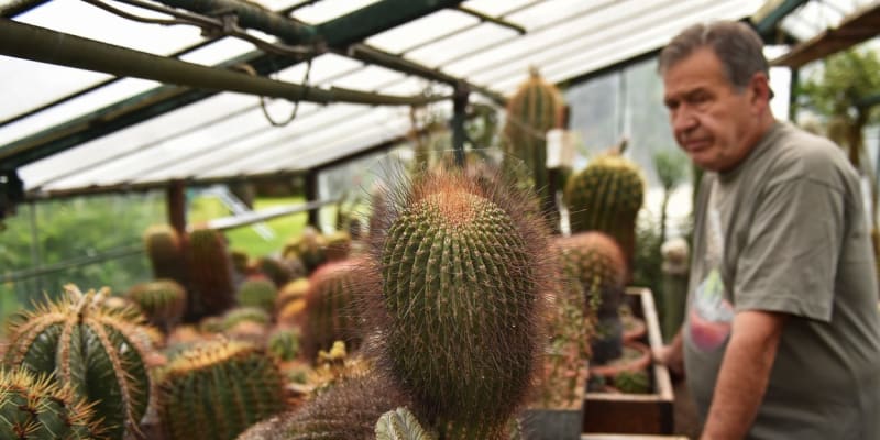 Pěstitel Petr Říha vlastní kaktus po Vojtěchu Fričovi