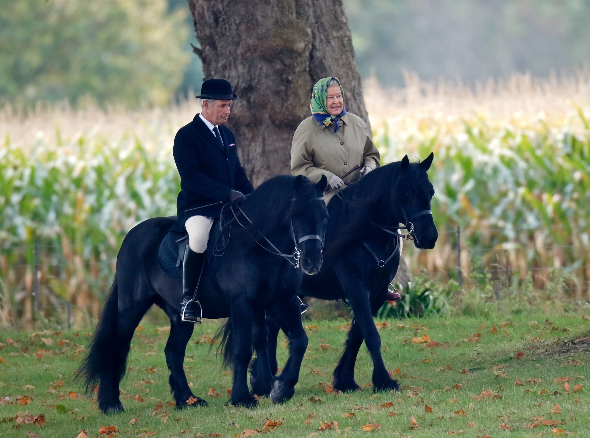 Královna Alžběta II. v doprovodu svého podkoního Terryho Pendryho při projížďce na koni v areálu hradu Windsor 18. října 2008 ve Windsoru v Anglii. 