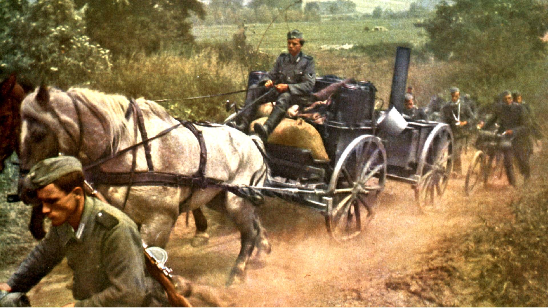 Německá armáda byla zcela závislá na koních
