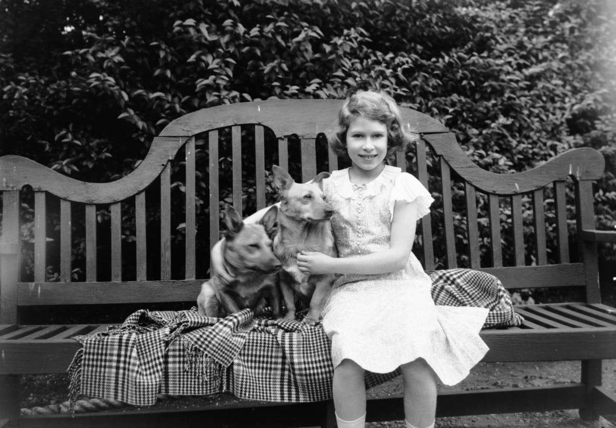 Princezna Alžběta sedí na zahradním křesle se dvěma psy corgi. (1936)