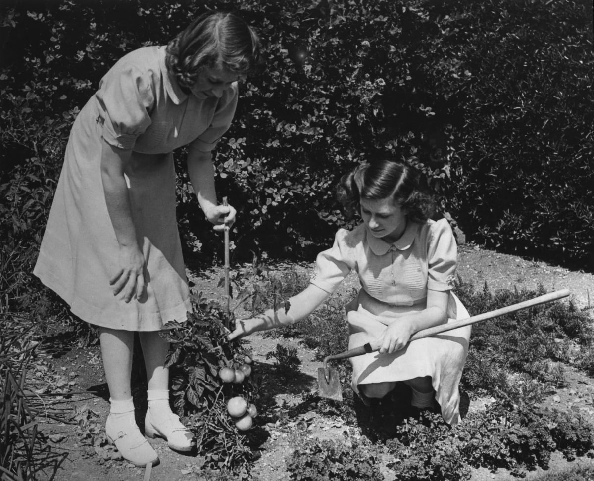 Princezna Alžběta (nyní královna Alžběta II., vlevo) a její mladší sestra princezna Margaret Rose (1930-2002) pracují na svém pozemku v areálu hradu Windsor, 11. srpna 1943. 