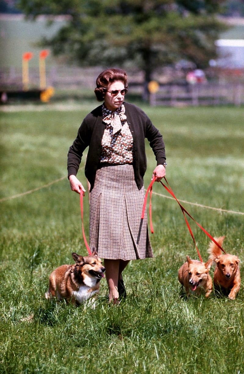 Královna se svým psům věnovala s maximální oddaností.