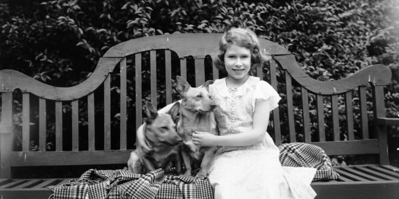 Princezna Alžběta sedí na zahradním křesle se dvěma psy corgi. (1936)