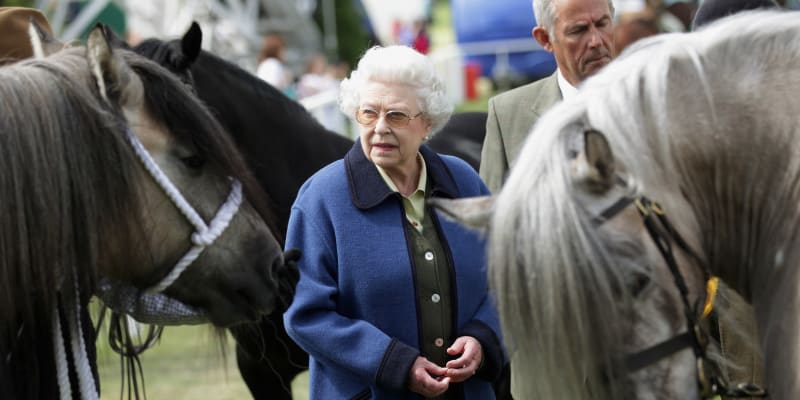 Koně a dostihy královna celý život milovala.