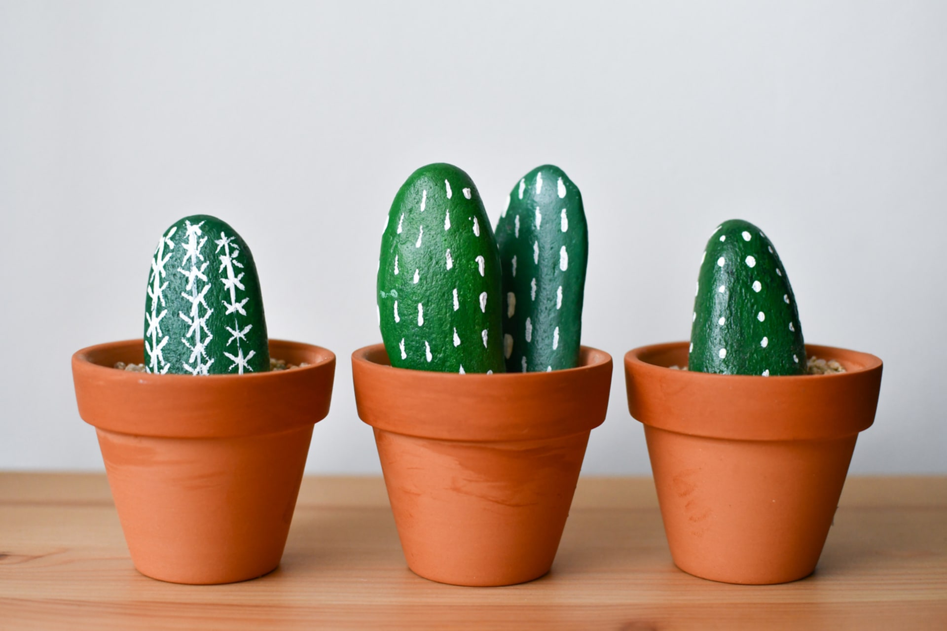 Kaktusy z oblázků