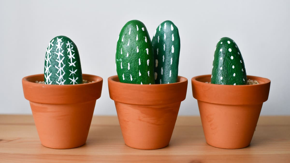 Kaktusy z oblázků