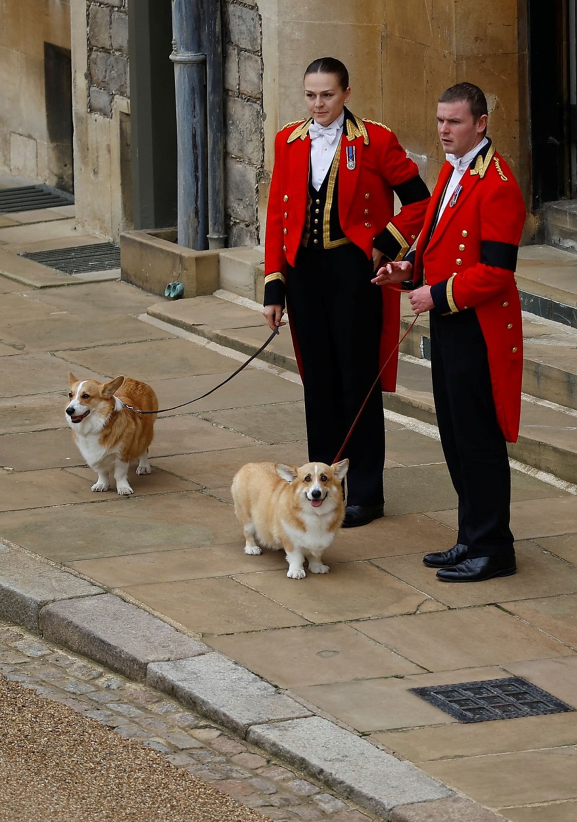 Na hradě Windsor se před půl rokem s královnou naposledy rozloučili i její milovaní psi plemene Corgi.