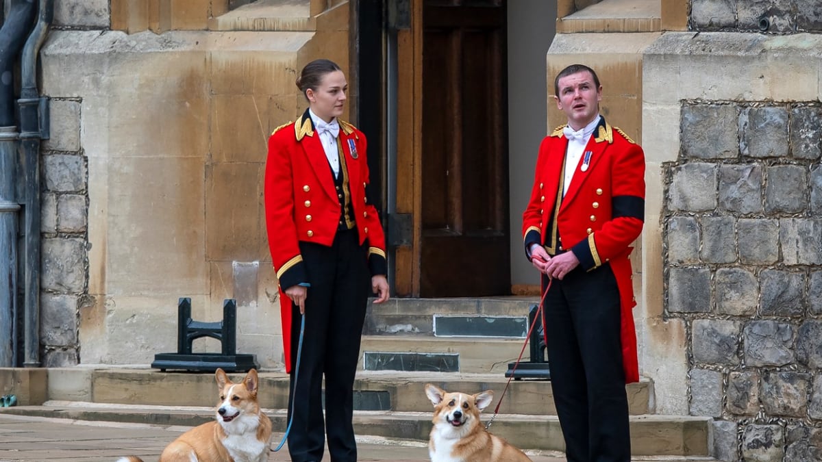 Pohřbu královny Alžběty II. se účastnili i její psi a poník