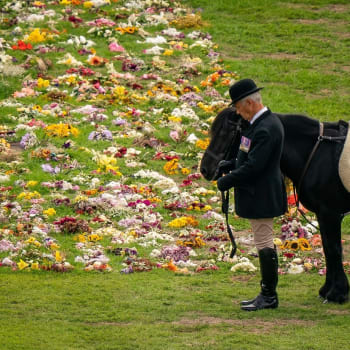 Pohřbu královny Alžběty II. se účastnili i její psi a poník