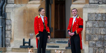 Mazlíčci Alžběty II. mají novou majitelku. Vévodkyně z Yorku sdílela dojemný snímek