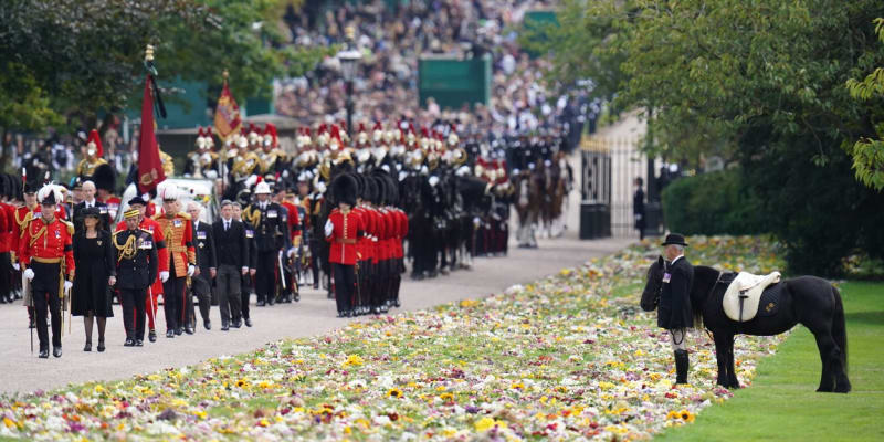 Pohřbu královny Alžběty II. se účastnili i její psi a poník.