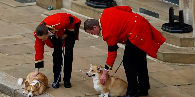 Na hradě Windsor se s královnou naposledy rozloučili i její milovaní psi plemene Corgi.